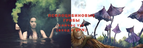 apvp Балабаново