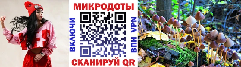 Купить закладки  Солигалич  Галлюциногенные грибы ЛСД 