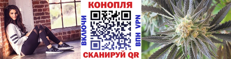 Купить закладки  Солигалич  Каннабис сатива 